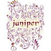 JUNIPER logo