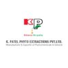 K Patel Chemo Pharma Pvt. Ltd. logo