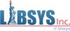 Libsys IT Services logo