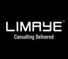 Madhav Limaye Consulting Logo