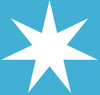 A.P. Moller Maersk logo