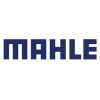 MAHLE ANAND Filter Systems Logo