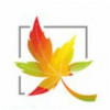 Maple Software Pvt Ltd logo