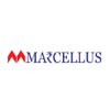 Marcellus Investment Managers Logo