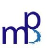 MatchPoint Solutions logo