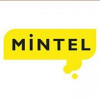 Mintel logo