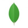 MongoDB logo