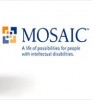 Mosaic logo