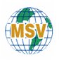 MSV International