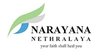 Narayana Nethralaya Logo