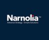 Narnolia Securities logo