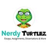 Nerdy Turtlez logo