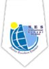 NES International School logo