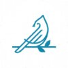 NestorBird logo