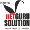 Netgurusolution India logo