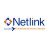 Netlink Software logo