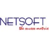 Netsoft Consulting Services logo