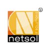 Netsol It Solutions logo