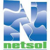 NETSOL Technologies logo