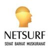 Netsurf Communications