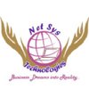 Netsys Technologies logo