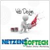 Netzens Softech logo