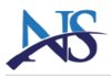 Nilasu consulting logo