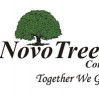 Novo Tree Minds logo