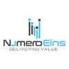 NumeroEins Software logo