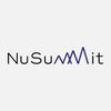 Nusummit Technologies (Formerly Name NSEIT) logo