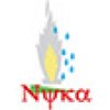 Nyka Events logo