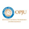 Op Jindal University logo