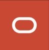 Oracle Financial Services Software Logo