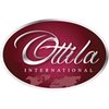 Ottila International logo