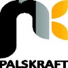 Palskraft Ventures logo