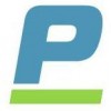 Paradigm Consulting logo