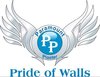 Paramount Plaster Pvt. Ltd logo