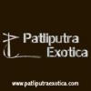 Patliputra Exotica logo