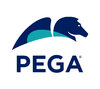 Pegasystems Worldwide India Pvt. Ltd.