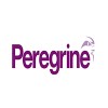 Peregrine Guarding Logo