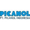 Picanol Logo