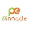 Pinnacle Enterprises logo