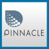 Pinnacle Market Investment Advisory Pvt Ltd logo