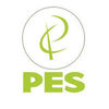 Pioneer E Solutions Pvt Ltd logo