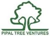 Pipal Tree Ventures Pvt. Ltd. logo