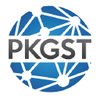 PK Global Software Technologies  logo