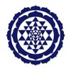 Positiwise Infotech Pvt Ltd logo