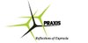 Praxis Consultants logo