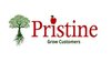 Pristineinfoweb logo