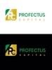 Profectus Capital logo